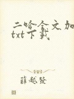 二哈全文加番外txt下载