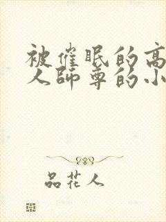 被催眠的高冷美人师尊的小说