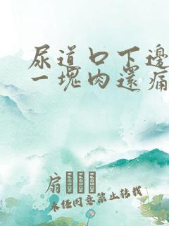 尿道口下边垂着一块肉还痛