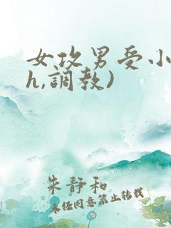 女攻男受小说(h,调教)