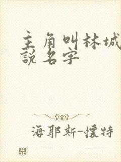 主角叫林城的小说名字