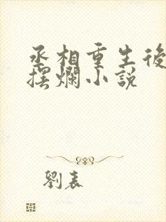 丞相重生后只想摆烂小说