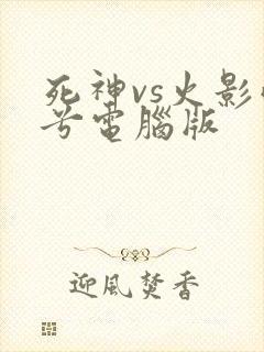 死神vs火影雨兮电脑版