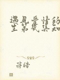 遇见爱情的利先生第几集知道身世