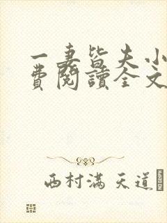 一妻皆夫小说免费阅读全文