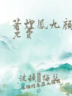 萧煜凤九颜全集免费