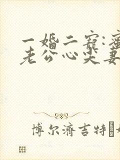 一婚二宠:蜜制老公心尖妻