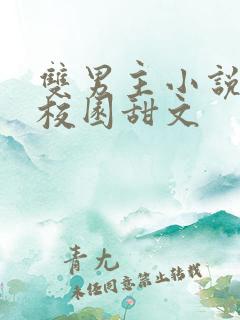 双男主小说推荐校园甜文