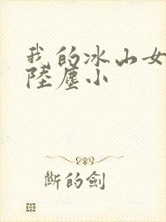 我的冰山女总裁陆尘小