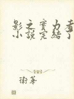 影之实力者原著小说完结了吗