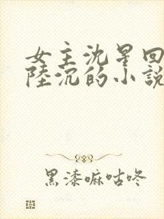 女主沈星回男主陆沉的小说