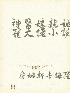 神医娘亲她是团宠大佬小说免费阅读