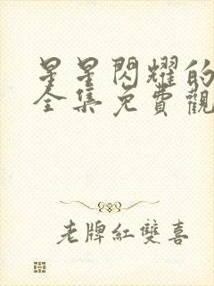 星星闪耀的夜晚全集免费观看韩剧