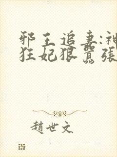 邪王追妻:神医狂妃狠嚣张小说