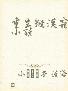 重生糙汉宠妻的小说