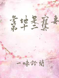 爹地是宠妻狂魔第十二集