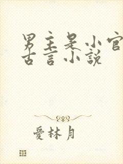 男主是小官吏的古言小说