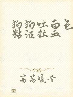 狗狗吐白色泡沫粘液拉血