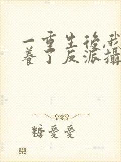 一重生后,我娇养了反派摄政王