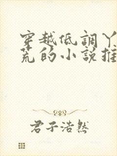穿越低调丫鬟逃荒的小说推荐