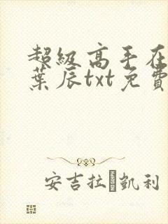 超级高手在都市叶辰txt免费下载