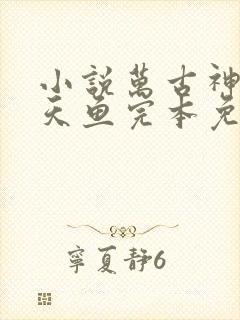 小说万古神帝飞天鱼完本免费阅读