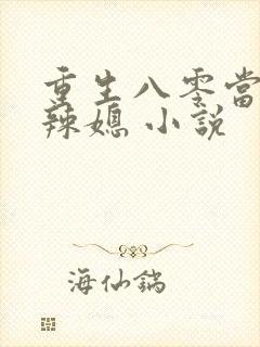 重生八零当家小辣媳 小说