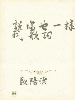 说你也一样爱着我 歌词