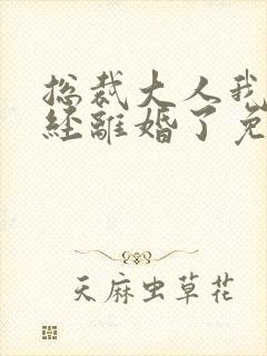 总裁大人我们已经离婚了免费阅读