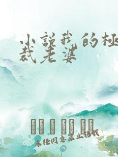 小说我的极品总裁老婆