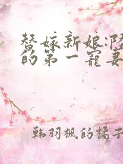 替嫁新娘:陆总的第一宠妻短剧