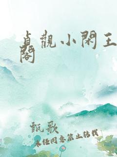 贞观小闲王笔趣阁