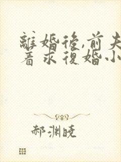 离婚后,前夫哭着求复婚小说阅读