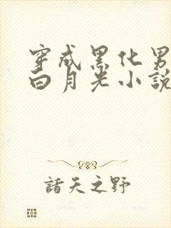 穿成黑化男主的白月光小说完结版