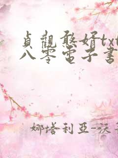 贞观憨婿txt八零电子书