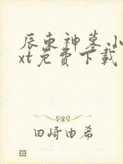 辰东神墓小说txt免费下载