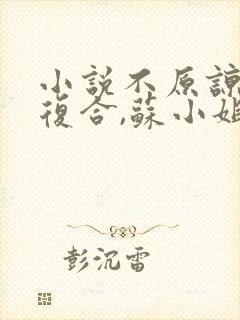 小说不原谅,不复合,苏小姐独美免费