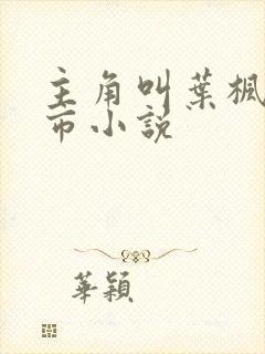 主角叫叶枫的都市小说