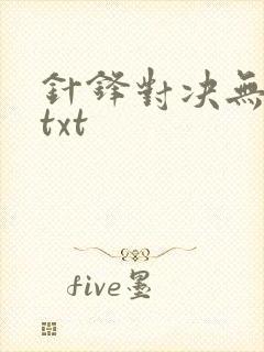 针锋对决无删减txt