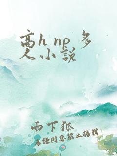 高h np 多人小说
