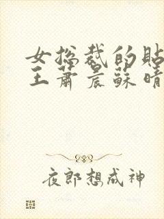 女总裁的贴身兵王萧晨苏晴