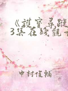 《护宝寻踪》23集在线观看