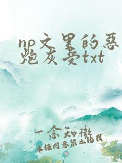 np文里的恶毒炮灰受txt