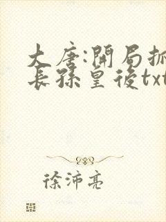 大唐:开局抓了长孙皇后txt下载