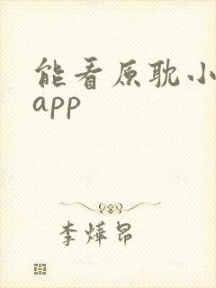 能看原耽小说的app