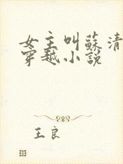 女主叫苏清和的穿越小说