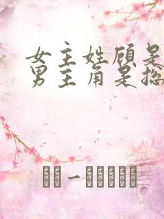 女主姓顾是律师男主角是总裁