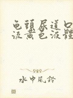 龟头尿道口一直流黄色液体怎么回事