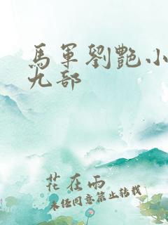 马军刘艳小说第九部