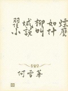 翟城柳如烟主角小说叫什么
